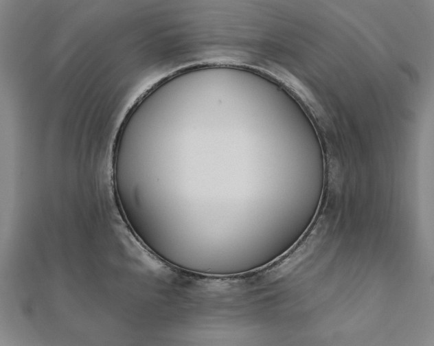 X0000112051240200908181130