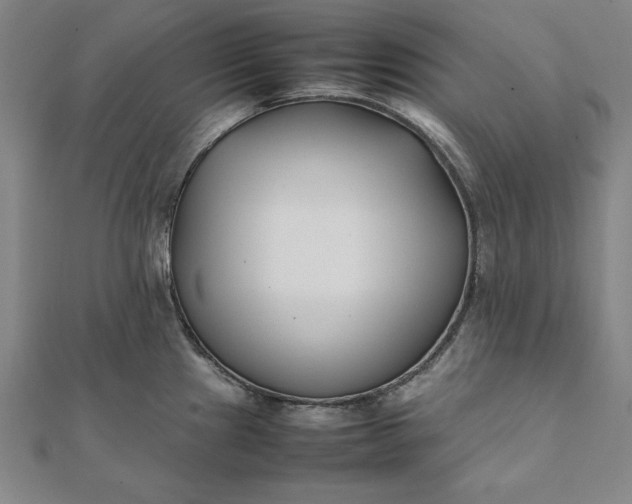 X0000112051241200908181130