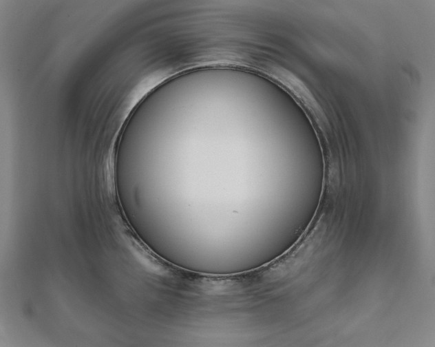 X0000112051242200908181130