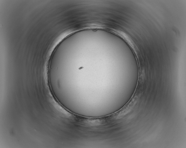 X0000112051243200908181130