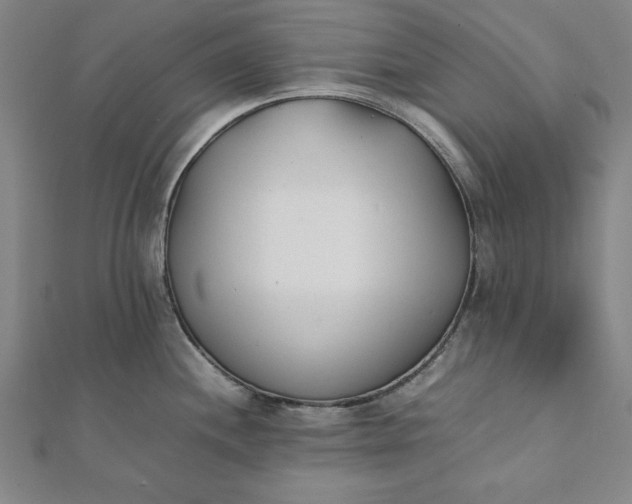 X0000112051244200908181130