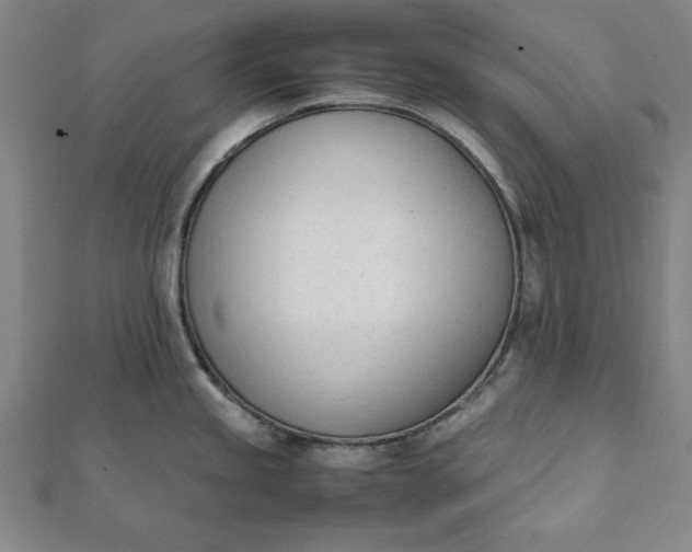 X0000112051245200908181130