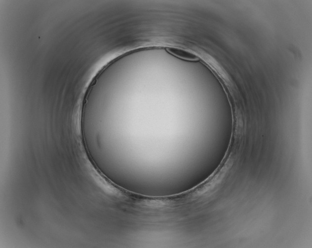 X0000112051246200908181130