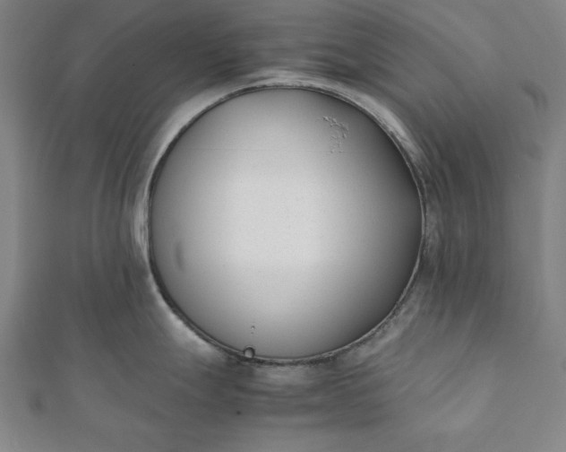 X0000112051247200908181130