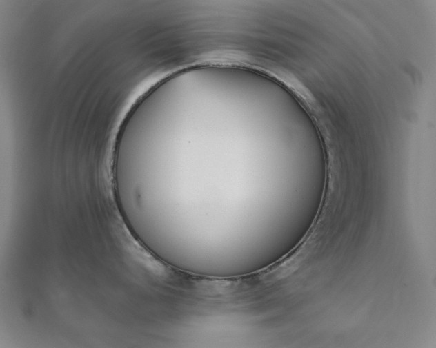 X0000112051248200908181130