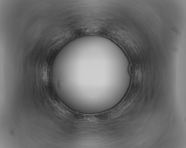 X0000112051250200908181129