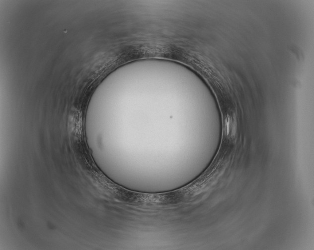 X0000112051251200908181129