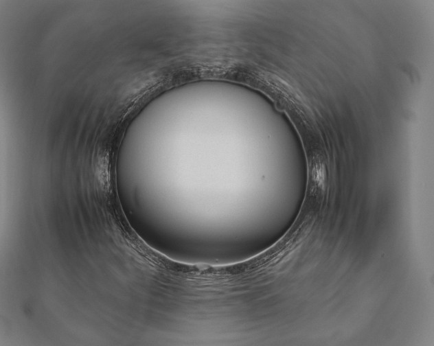 X0000112051252200908181129