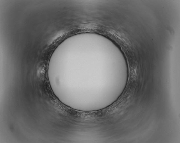 X0000112051254200908181129