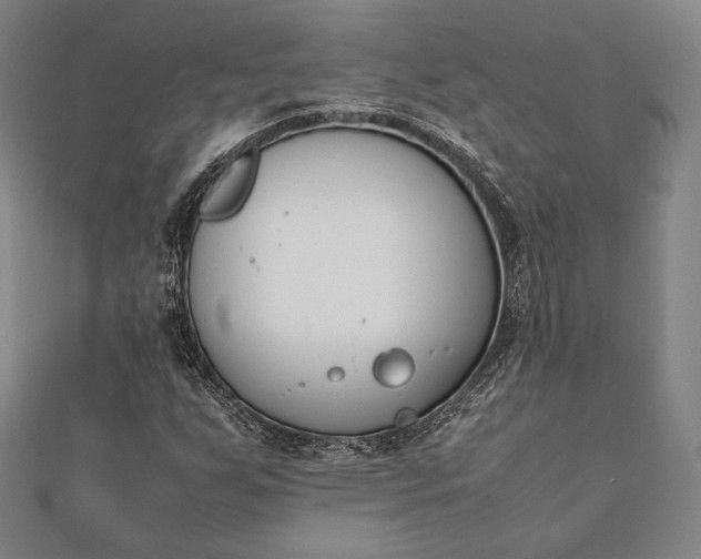 X0000112051255200908181129