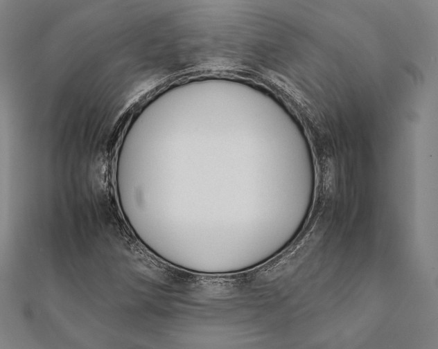 X0000112051258200908181129