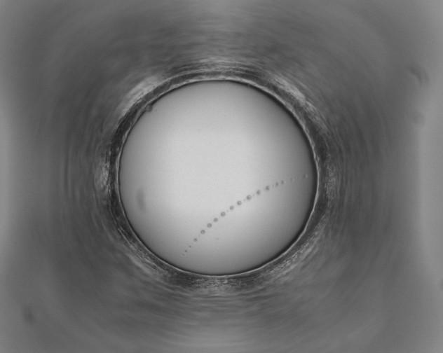 X0000112051259200908181129