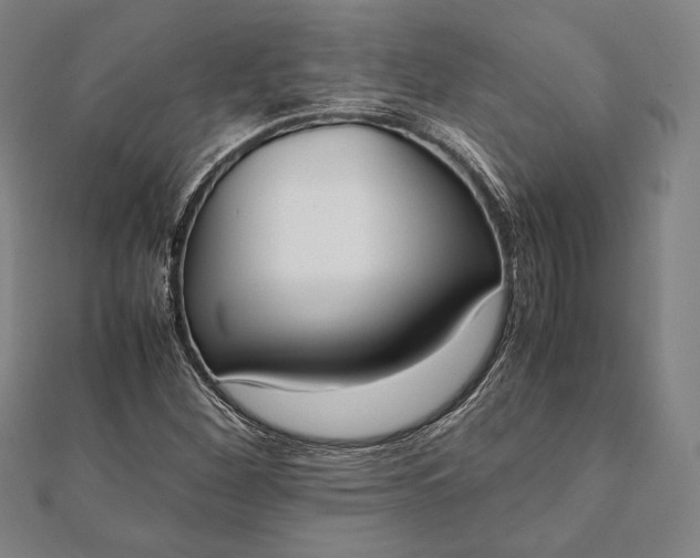 X0000112051260200908181129