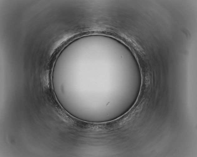 X0000112051262200908181129