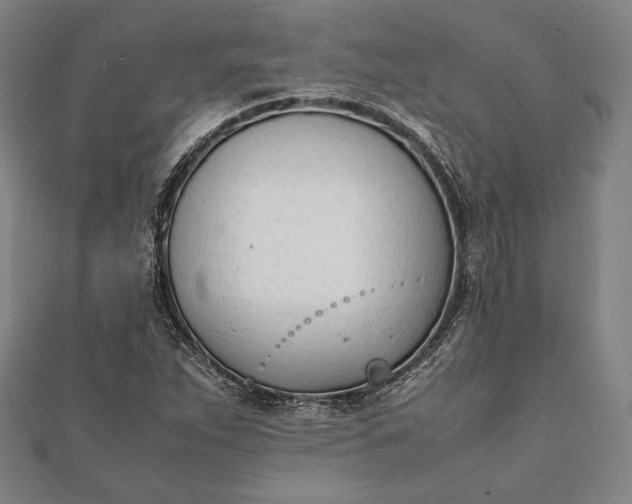 X0000112051263200908181129