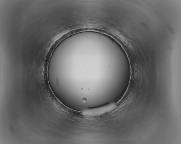 X0000112051264200908181129