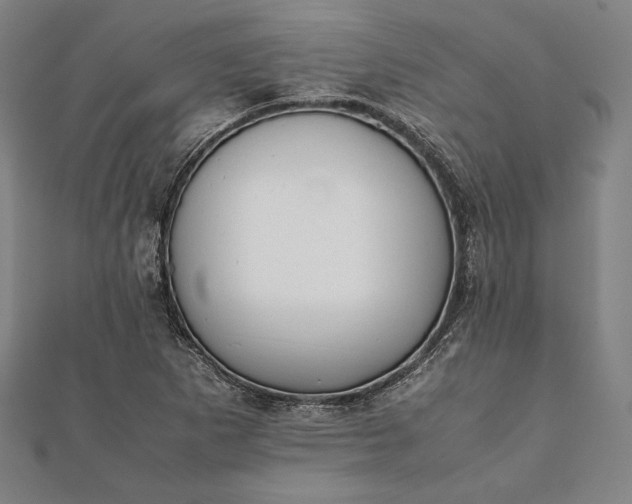 X0000112051265200908181129