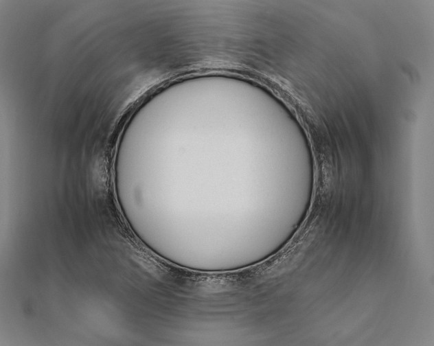 X0000112051266200908181129