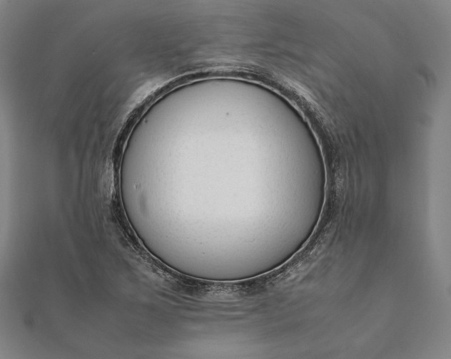 X0000112051267200908181129