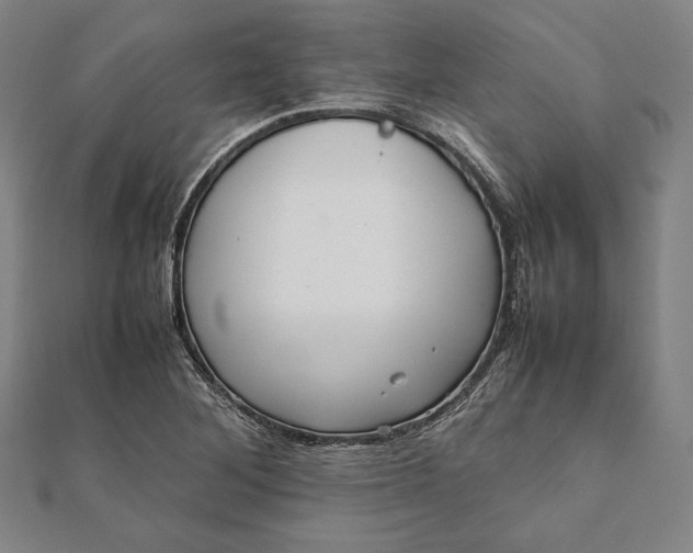 X0000112051268200908181129