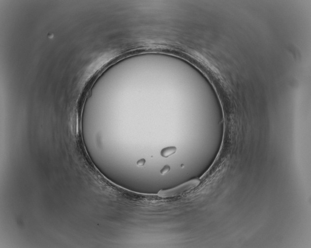 X0000112051269200908181129