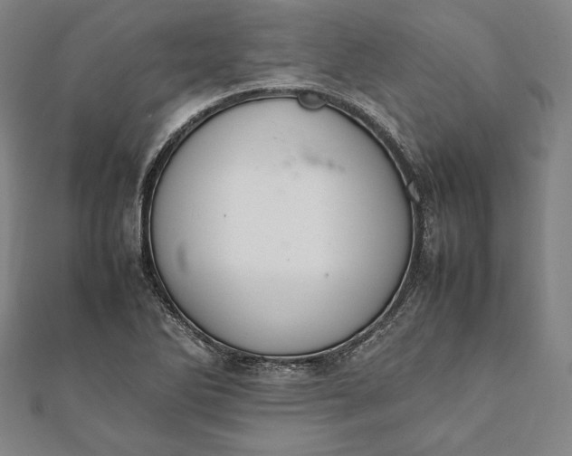 X0000112051270200908181129