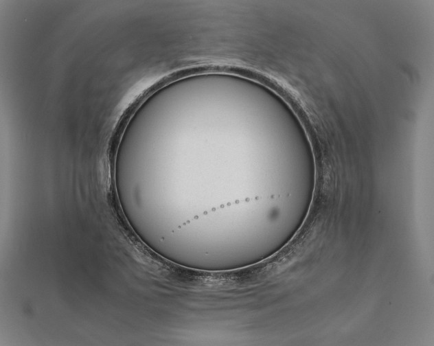 X0000112051271200908181129