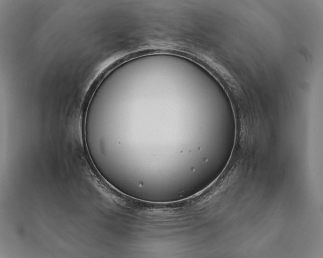 X0000112051272200908181129