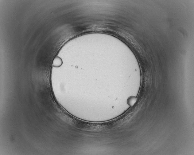 X0000112051273200908181129