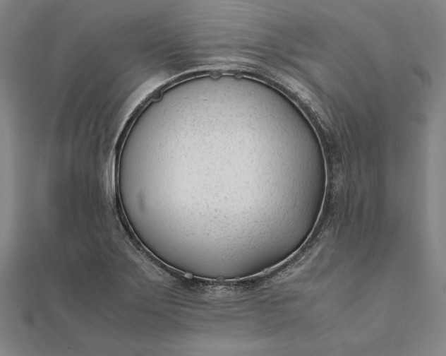 X0000112051275200908181129