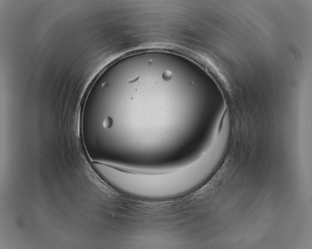 X0000112051276200908181129