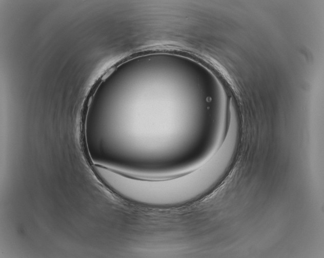 X0000112051277200908181129