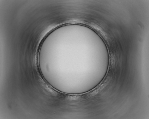 X0000112051278200908181129