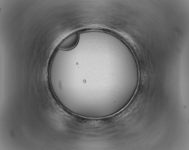 X0000112051279200908181129