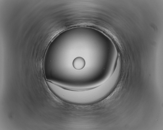 X0000112051281200908181129