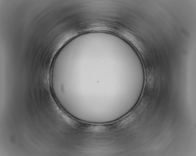 X0000112051282200908181129