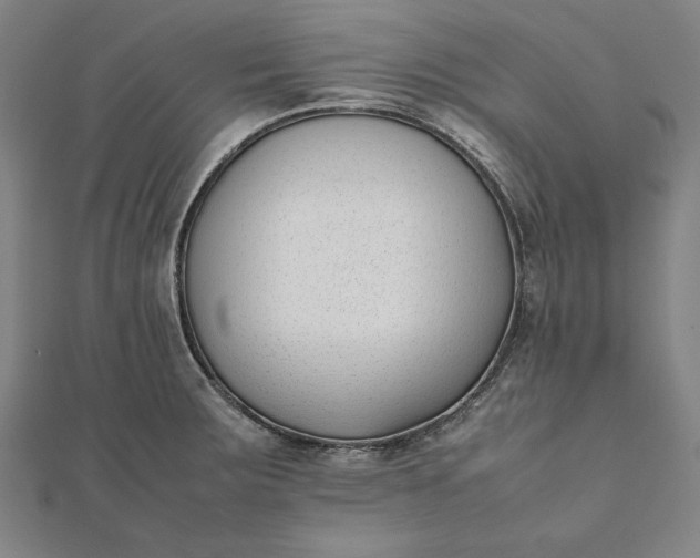 X0000112051283200908181129