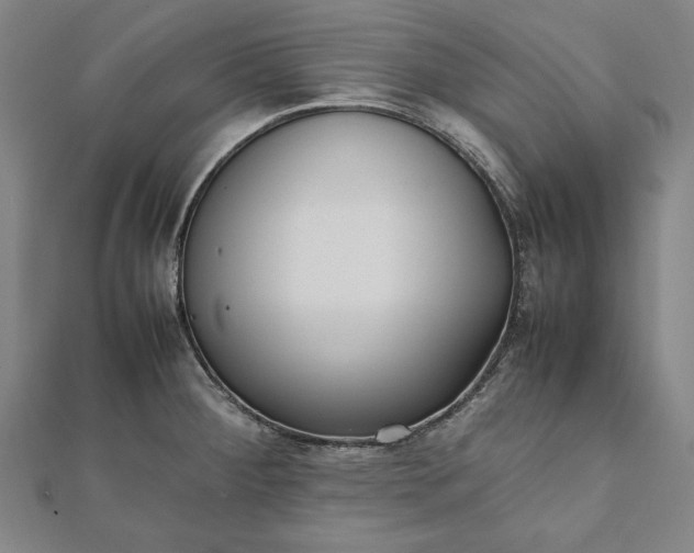 X0000112051284200908181129