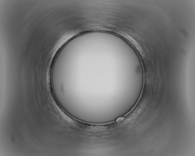 X0000112051285200908181129