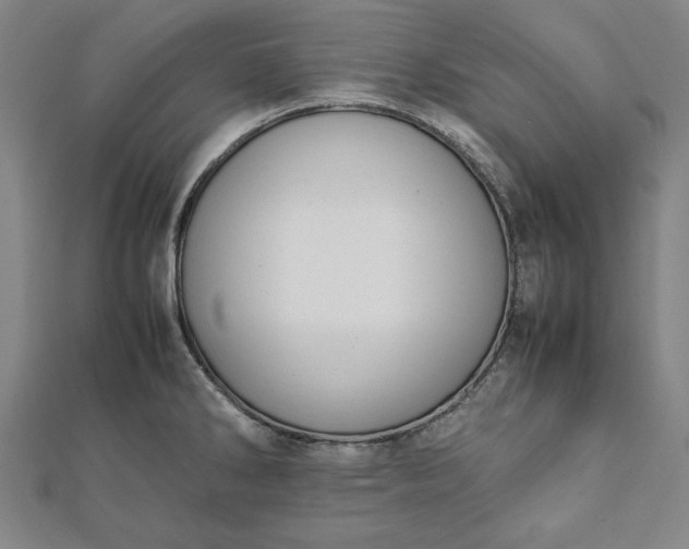 X0000112051286200908181129