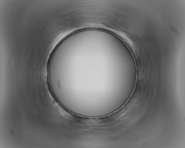 X0000112051287200908181129