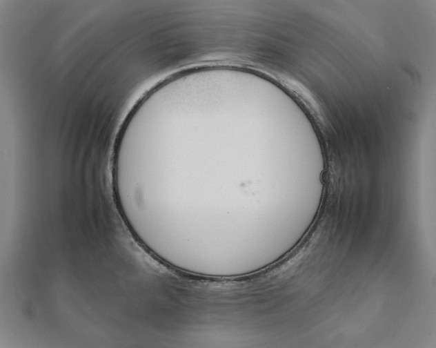 X0000112051288200908181129