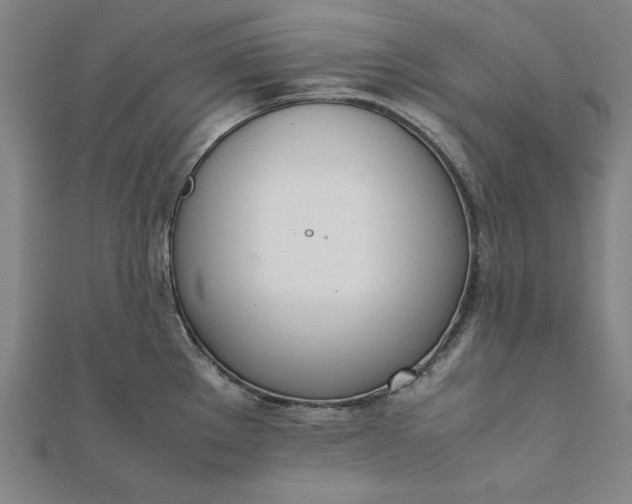 X0000112051289200908181129