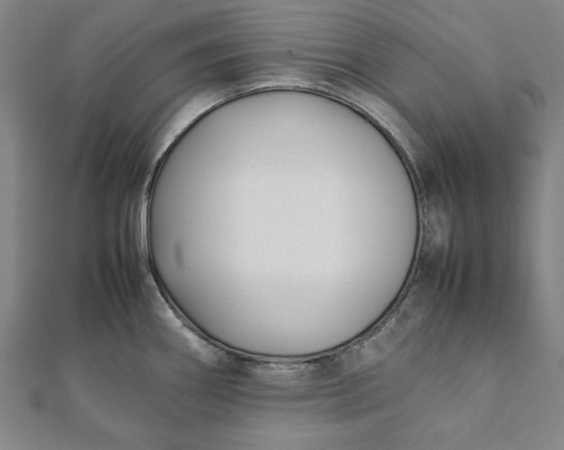 X0000112051290200908181129