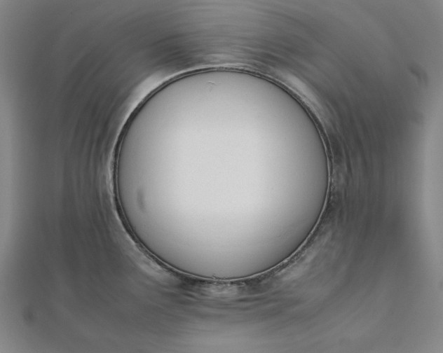 X0000112051291200908181129