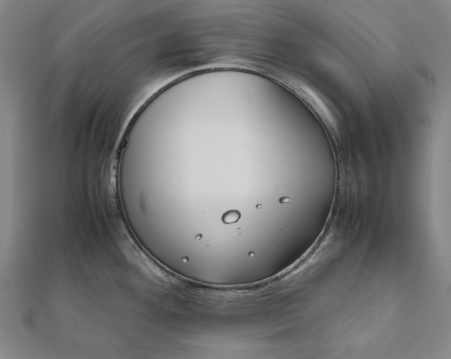 X0000112051292200908181129