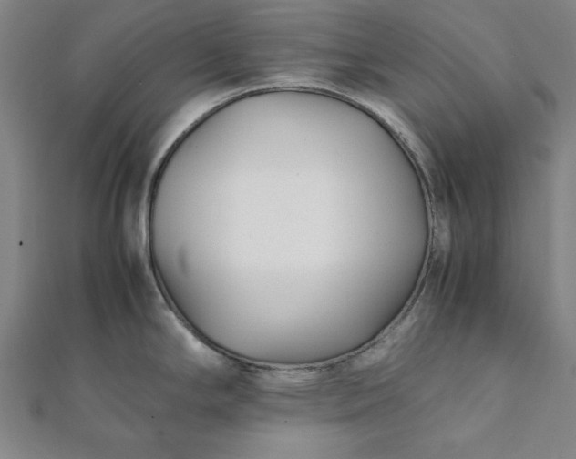 X0000112051294200908181129