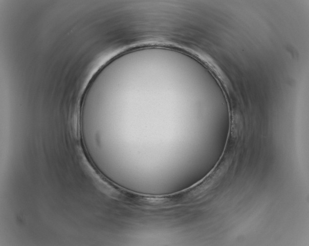 X0000112051295200908181129