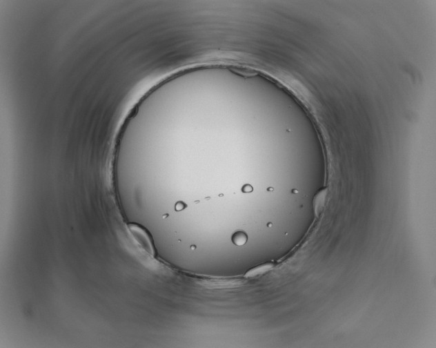 X0000112051296200908181129