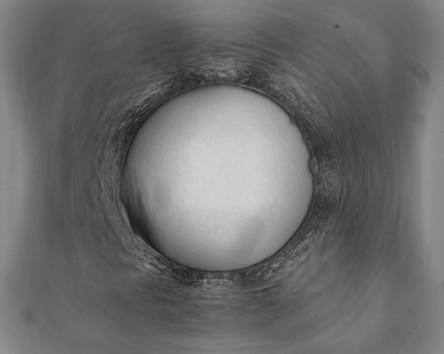 X0000112051297200908181128